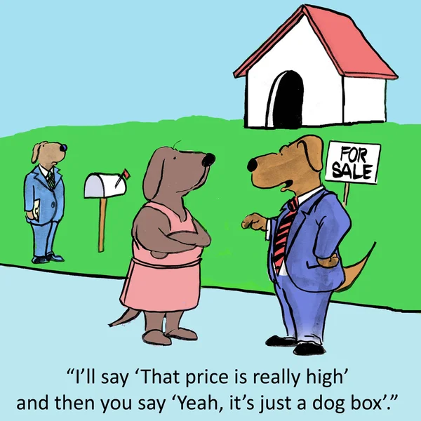 Dog box — Stock Photo, Image