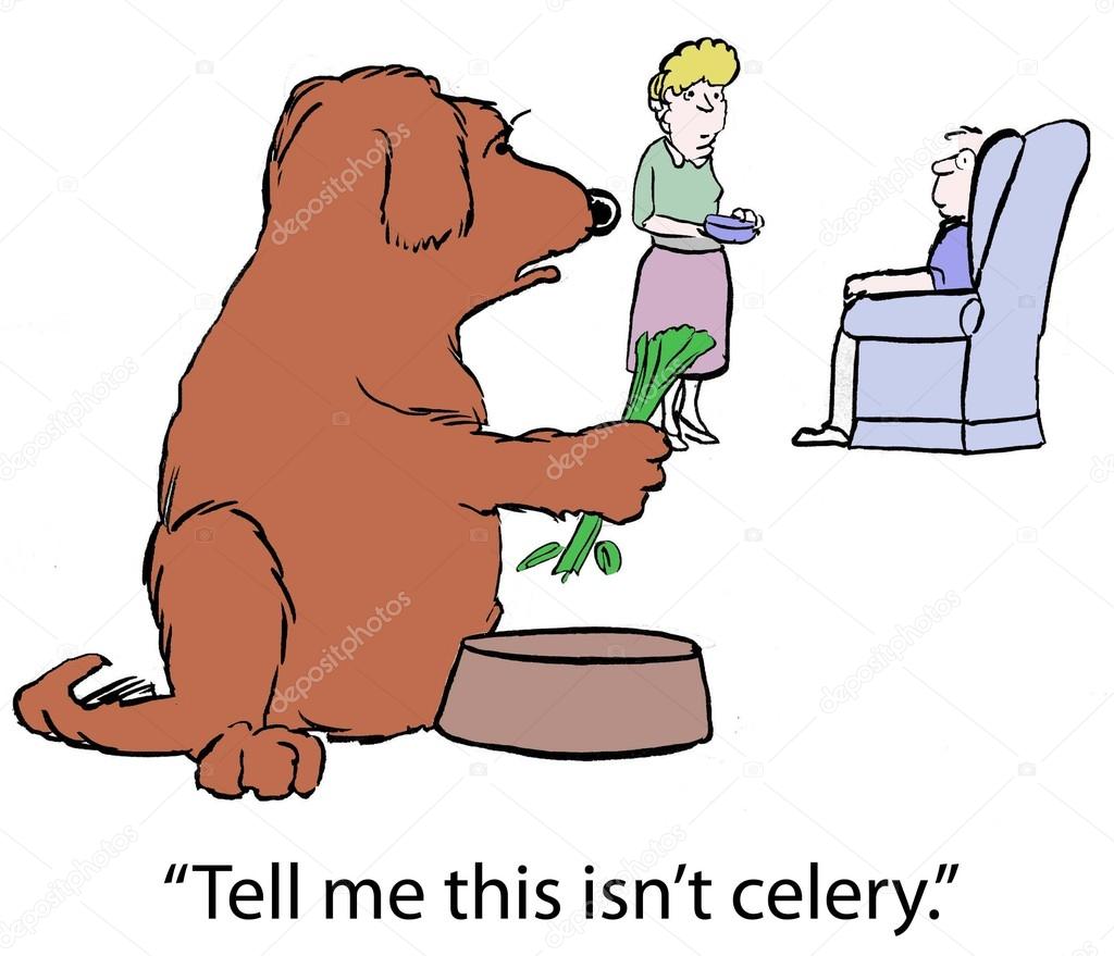 The dog does not like celery food