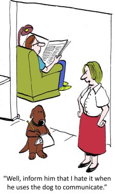 köpek kullandığında onu sevmemek.