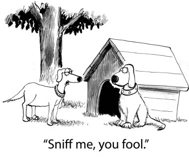 Karikatür illüstrasyon. Kabinin etrafında iki köpek