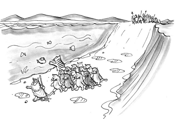 Cartoon illustration. Cat Moses.