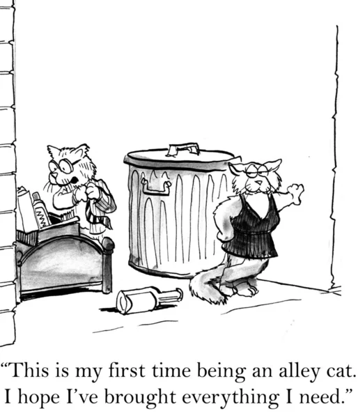 Cartoon illustration. The cats have planned a getaway to an alley. — Stock fotografie