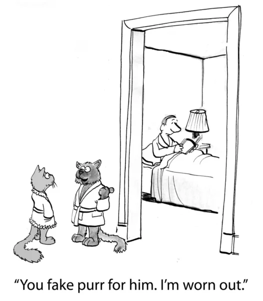 漫画の実例。寝室の前に 2 匹の猫 — ストック写真