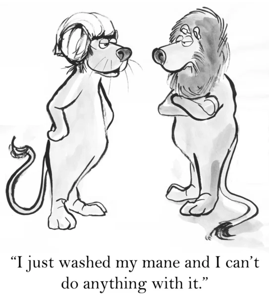 çizgi film illustration.two aslan
