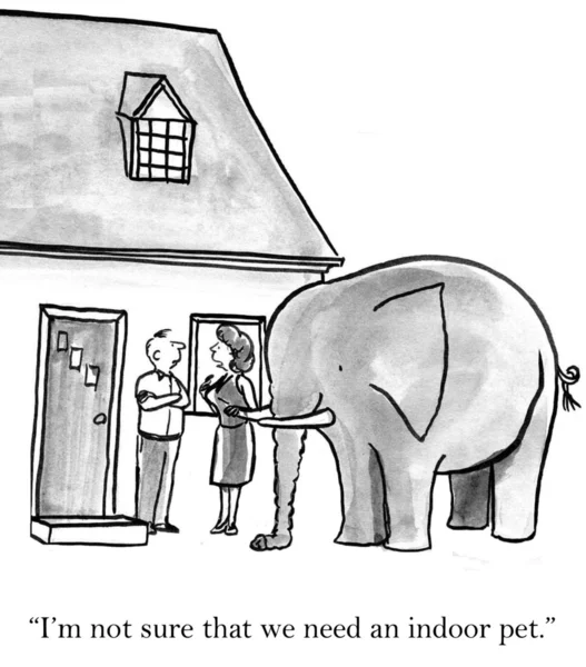Слону нужен дом побольше, чтобы поместиться. — стоковое фото