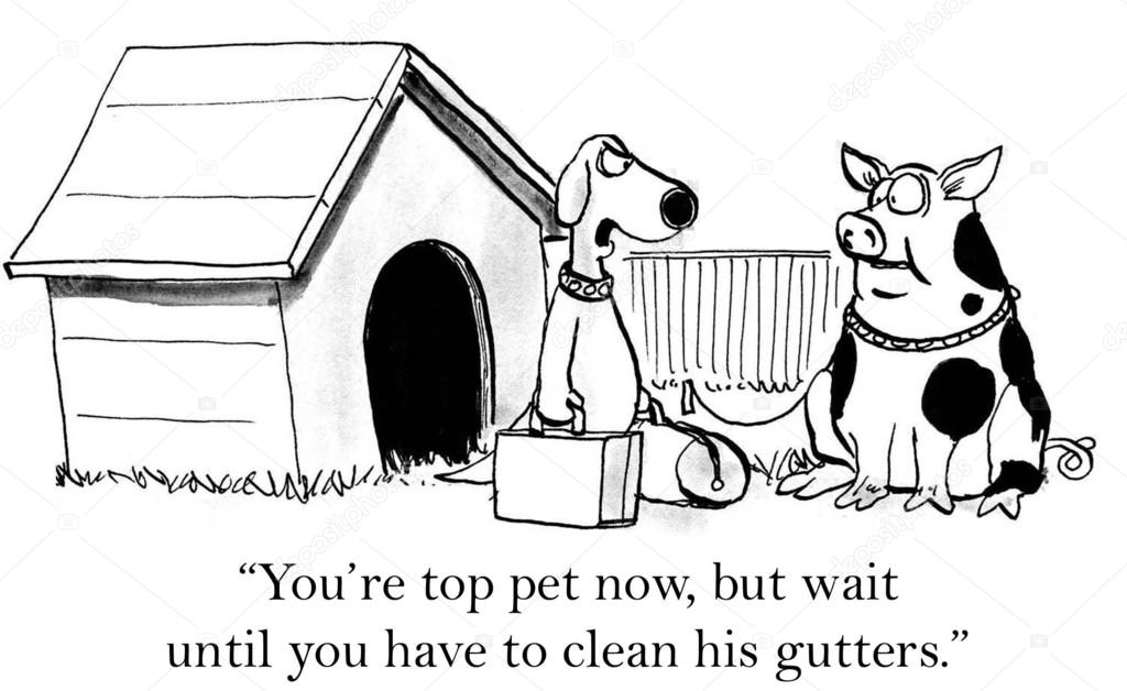 Cartoon illustration. Pig will have to clean gutters