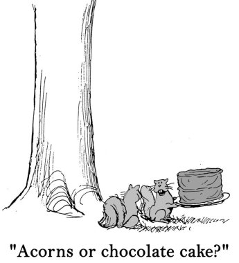 Sincap ve çikolatalı kek