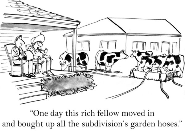 Фермеры смотрят на коров
