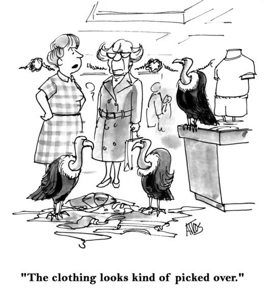 Πουλιά επέλεξε ρούχα — Stockfoto