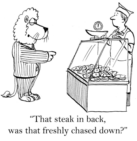 Лев на рынке
