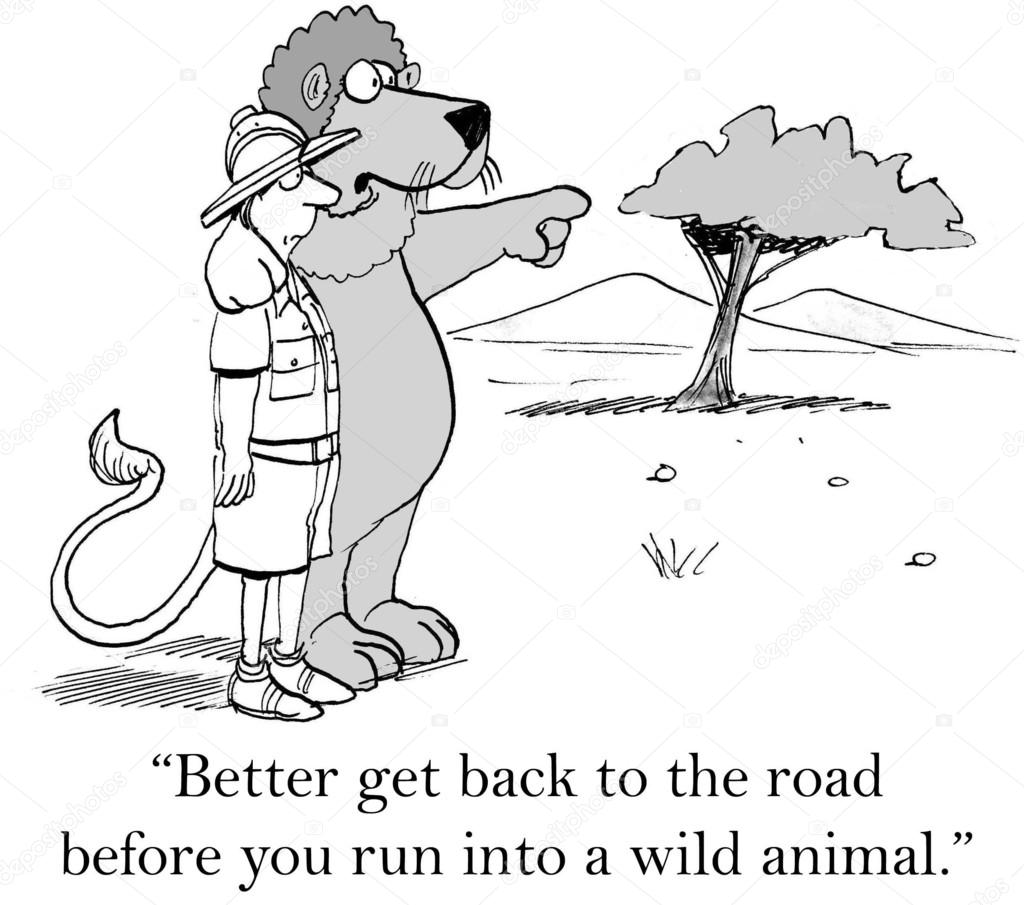 Lion shows hunter  a road