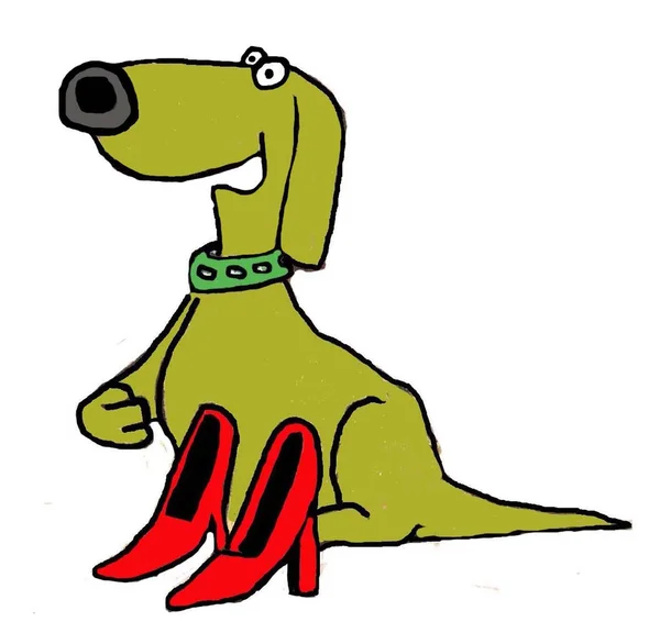 Il cane indica scarpe — Foto Stock