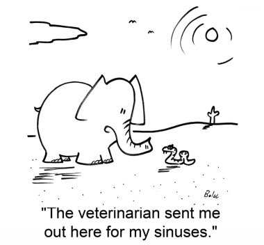 fil bir yılanla konuşmak