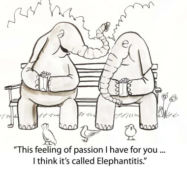 parkta bankta iki fil