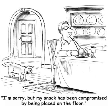 Kedi maması.