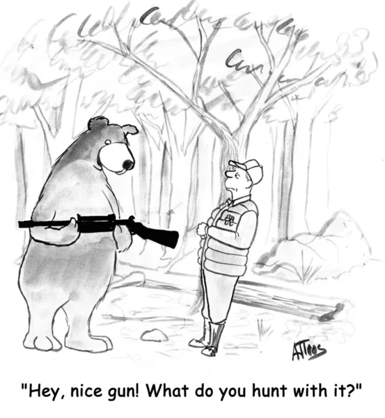 Bear considers gun hunter — Stock Photo, Image