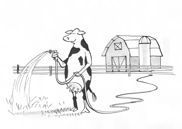 Cow watering grass. — Stock Photo, Image