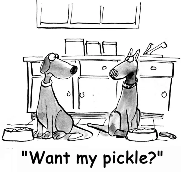 Dog offers his pickle to friend — Stock Photo, Image