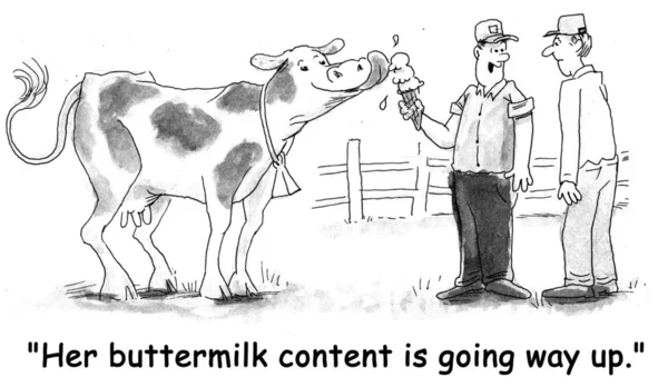 Two farmers are talking and one says his dairy cow\'s buttermilk content is increasing.