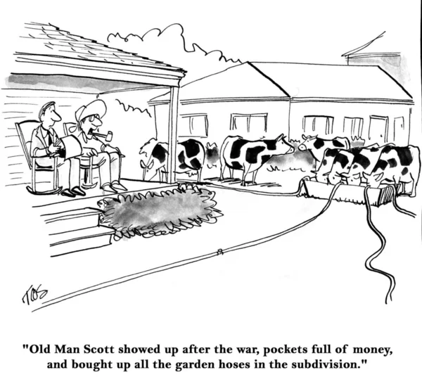 Kor flyttade i nästa dörr — Stockfoto