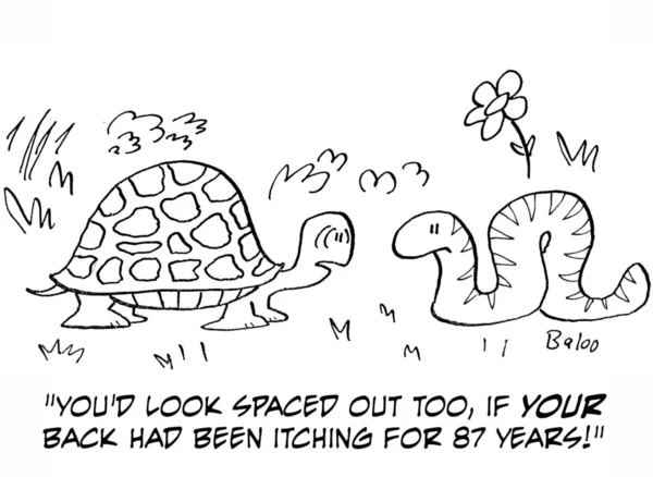 Говорящая черепаха и змея — стоковое фото