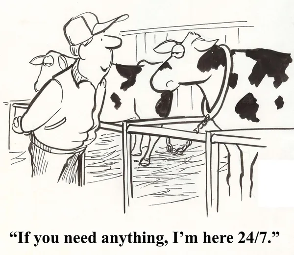农夫给奶牛专用饲料. — 图库照片