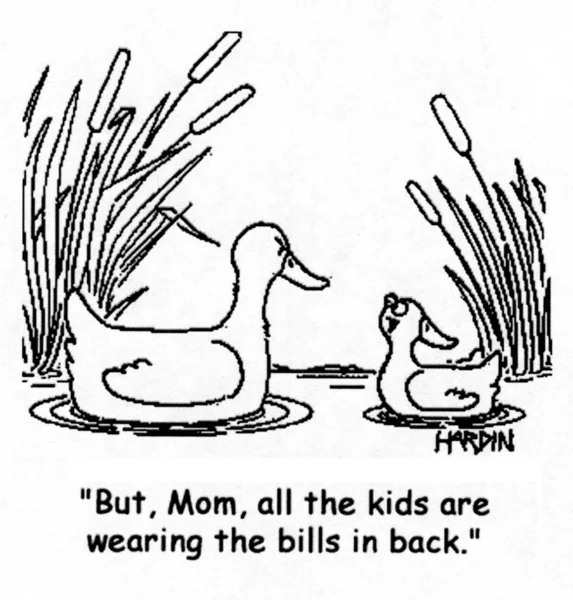Conversation dans la famille des canards — Photo