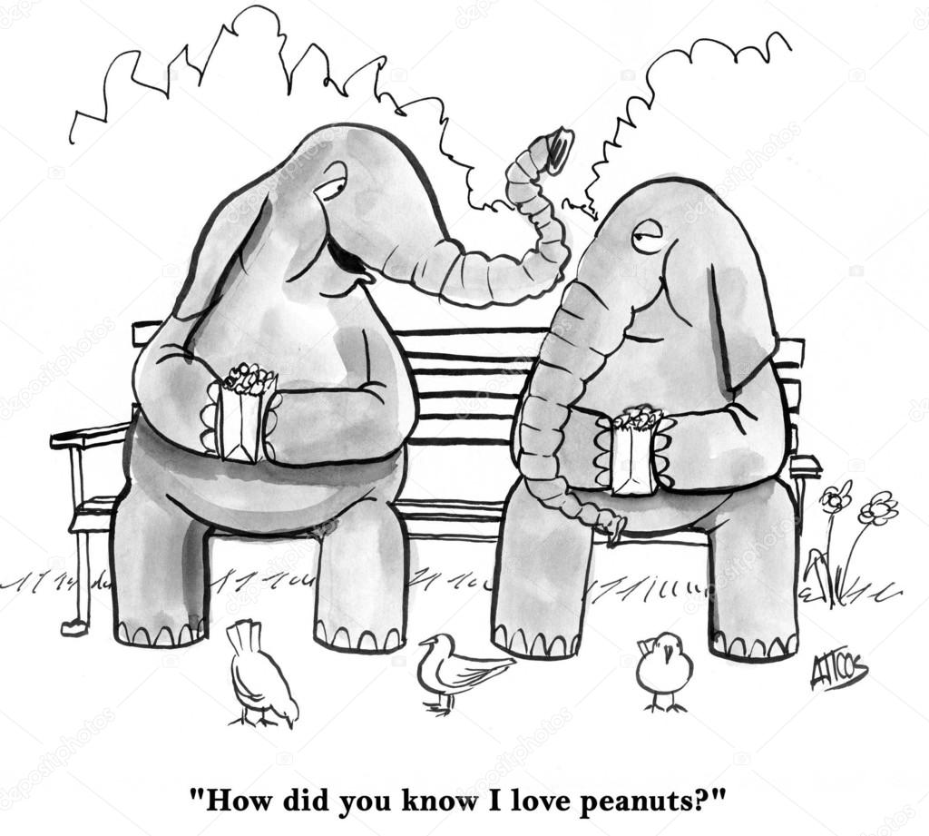 Two elephant talking