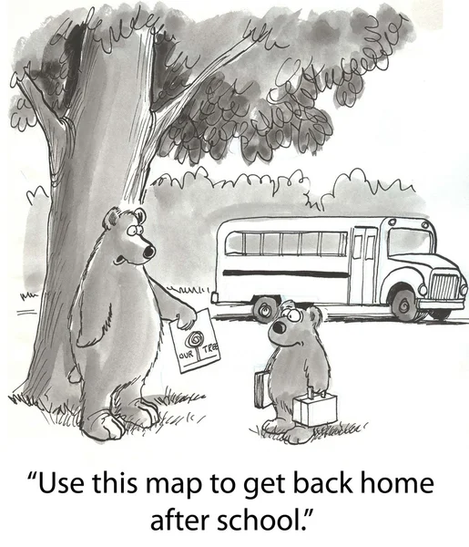 Bear doit rentrer chez lui. — Photo