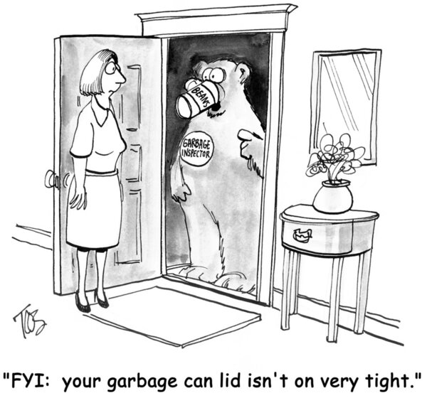 Медведь мусорщик.
