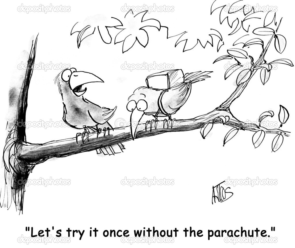 Birds try flying without a parachute