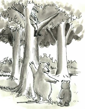 ayılar ağacı avcı izliyor