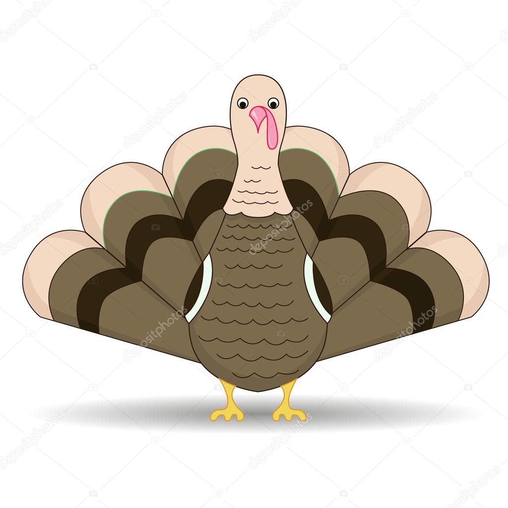 Brown turkey