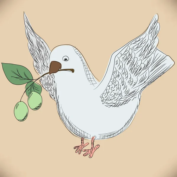 Mano disegno colomba con un oliva — Vettoriale Stock