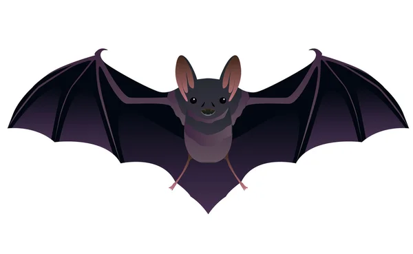 Cartoon bat — Stock Vector