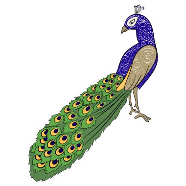 el çizim tavus kuşu 2