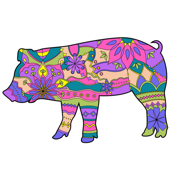 Pig colorful