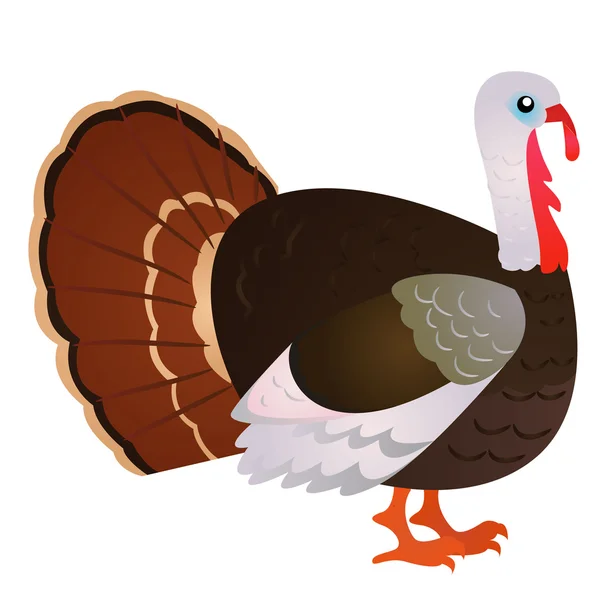Cartoon turkey — Stock Vector