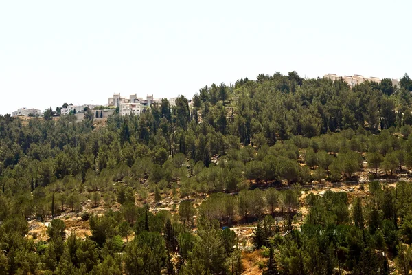 Israël. rand van Jeruzalem — Stockfoto