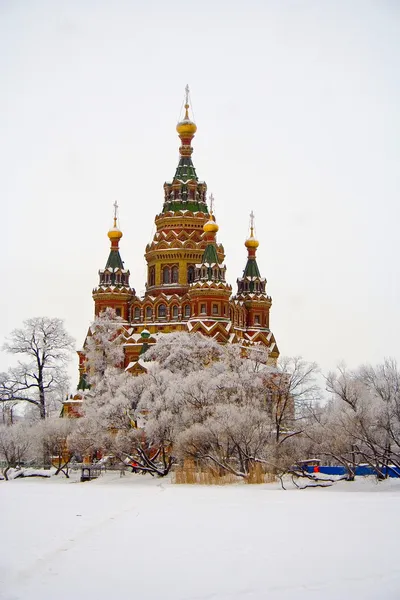 Peterhof. St apostles Peter and Pauls cathedral — Stock Photo, Image