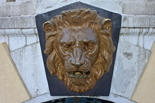 Cara de leones — Foto de Stock