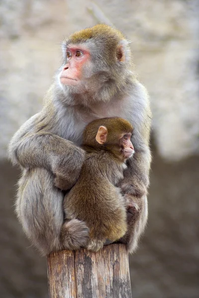 Moeder en kind — Stockfoto