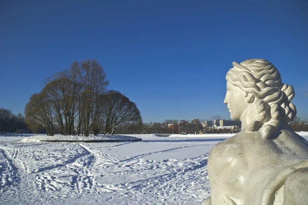 В поисках сфинкса — стоковое фото