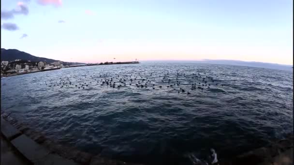 Zona de aguas del puerto de Yalta. Lente para ojos de pez — Vídeo de stock