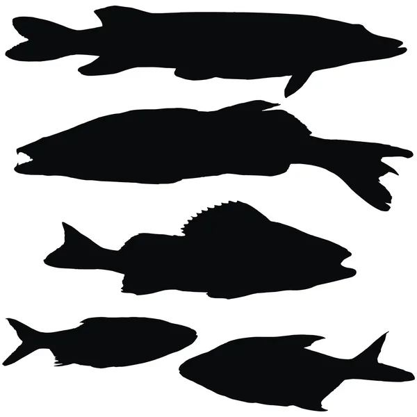 欧洲鱼 — 图库矢量图片