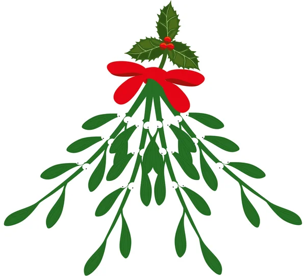 Mistletoe branch — Stock Vector