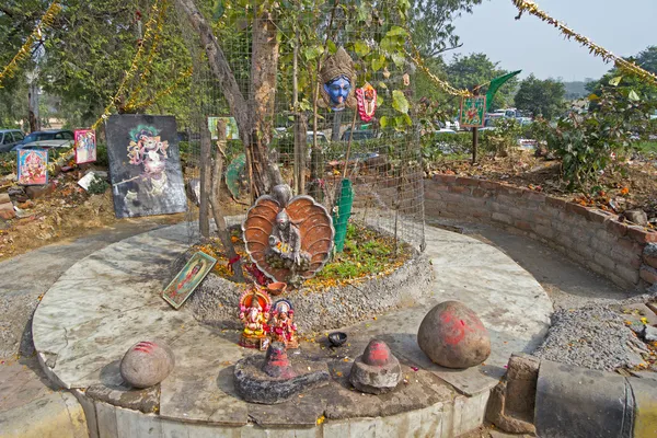 Little Shiva shrine at the root of tree — Stock Photo, Image
