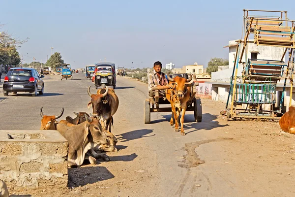 Porbandar sokak — Stok fotoğraf