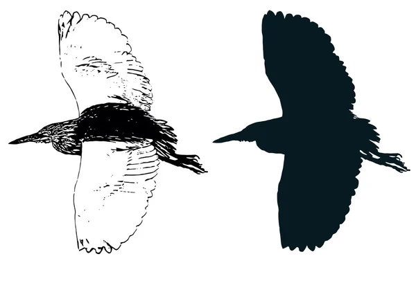 Paddybird — стоковий вектор