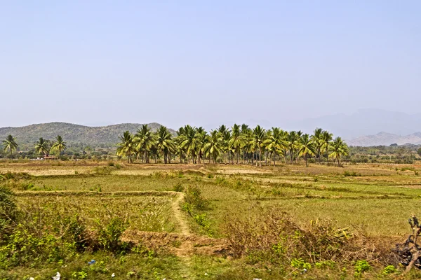 Krajobraz w andhra pradesh — Zdjęcie stockowe
